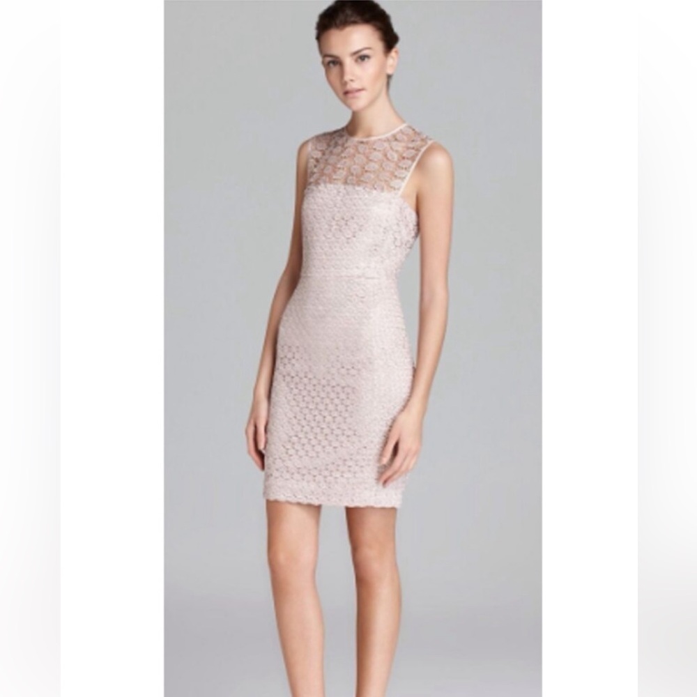 Diane Von Furstenburg kinchu lace sheath dress